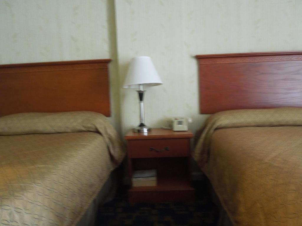 Seahawk Motel Βιρτζίνια Μπιτς Δωμάτιο φωτογραφία